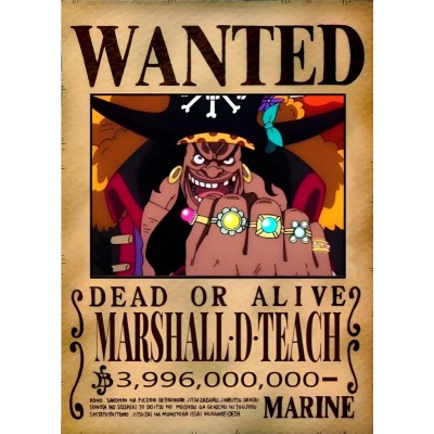 Placa Decorativa WANTED Marshall.D.teach One Piece Mod.14